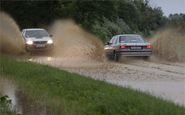 Vihar - Fákat döntött ki, háztetőket rongált meg a szél a Dunántúlon