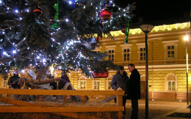 Felállították a fenyőfát Szolnokon a Kossuth téren