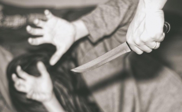 Felmentették az alvó nővérét késsel összekaszaboló szalóki fiút – elmegyógyintézetbe küldik