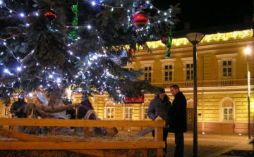 Felállították a fenyőfát Szolnokon a Kossuth téren